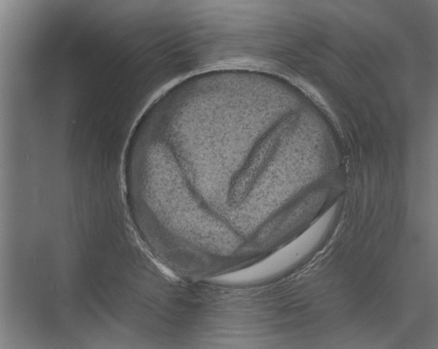 X0000071901230200608041334