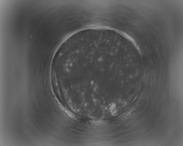 X0000071901231200608041334