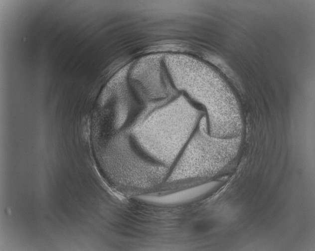 X0000071901233200608041334