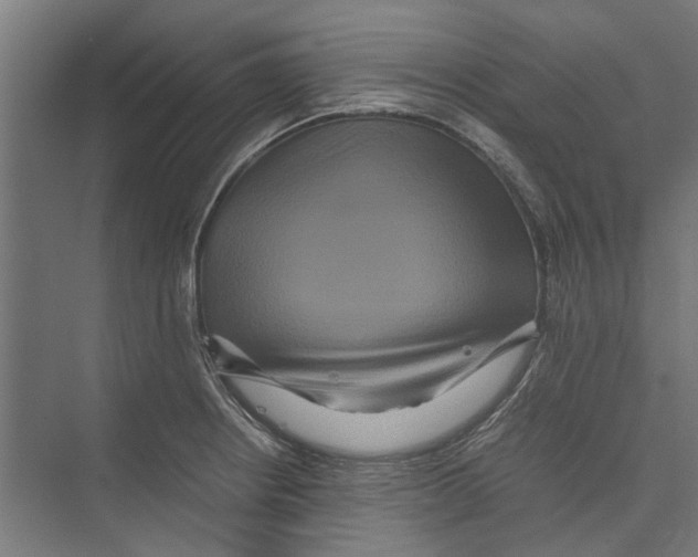 X0000071901234200608041334