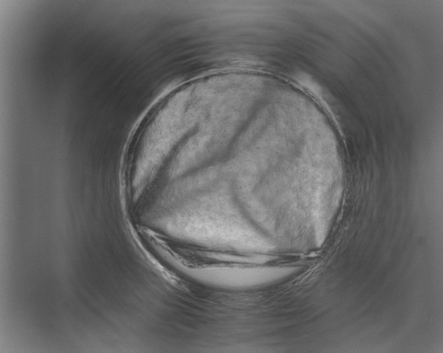 X0000071901235200608041334