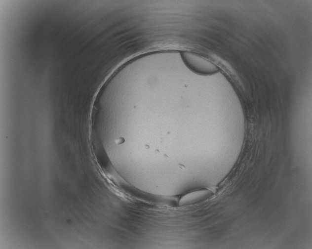 X0000071901236200608041334