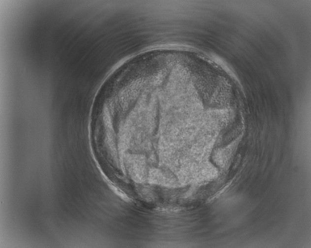 X0000071901237200608041334