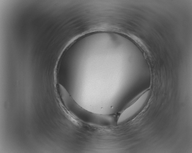 X0000071901238200608041334