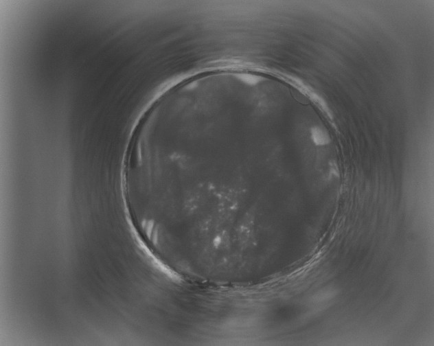 X0000071901239200608041334