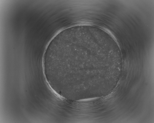 X0000071901243200608041334