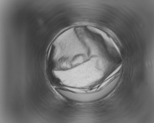 X0000071901244200608041334