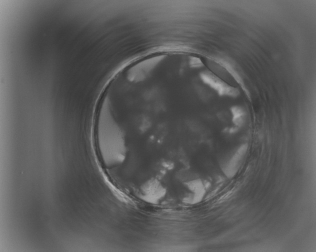 X0000071901245200608041334