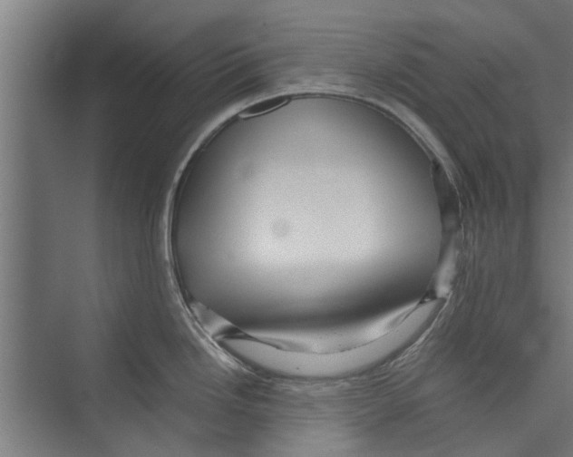 X0000071901246200608041335