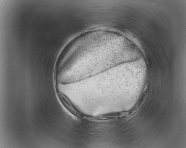 X0000071901247200608041335