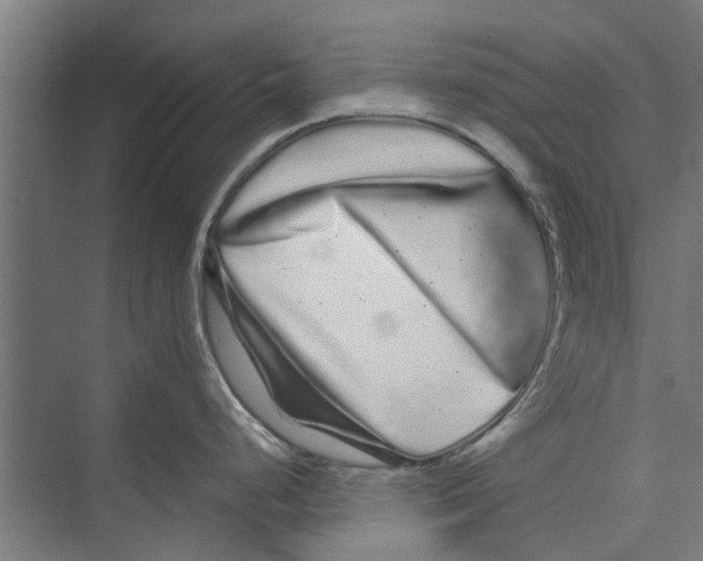 X0000071901248200608041335