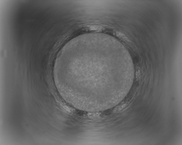 X0000071901249200608041334