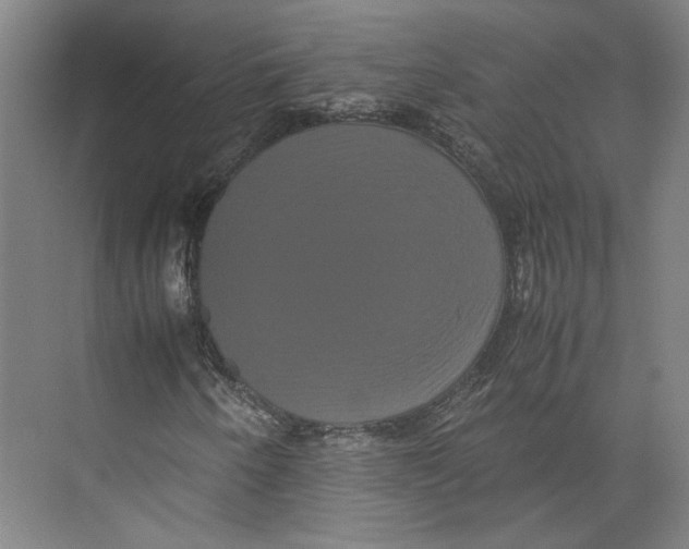 X0000071901250200608041334