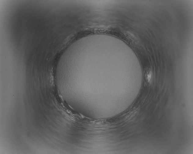 X0000071901252200608041334