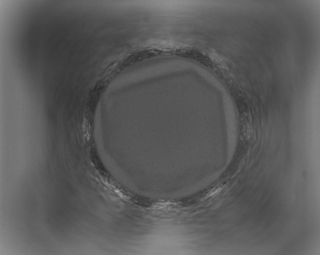 X0000071901253200608041334