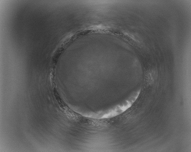 X0000071901254200608041334