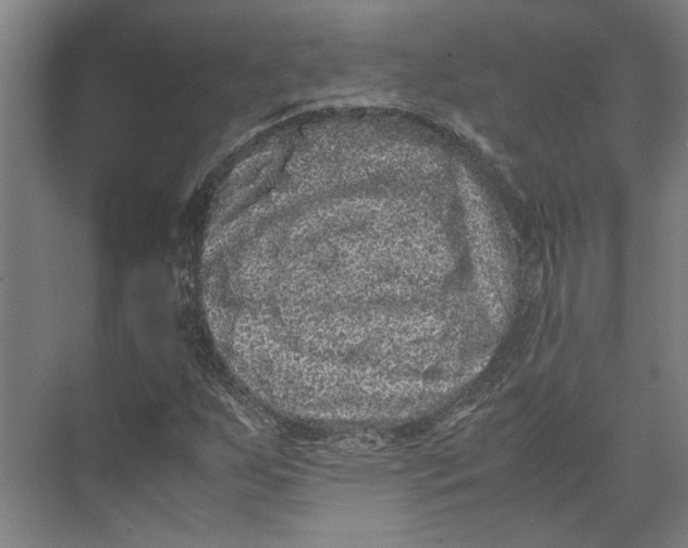 X0000071901255200608041334