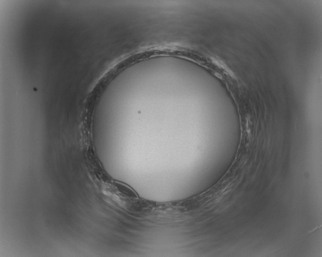 X0000071901256200608041334