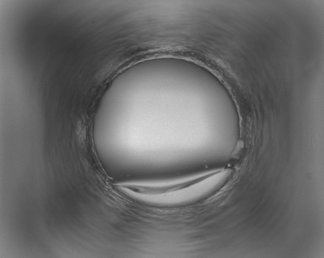 X0000071901257200608041334