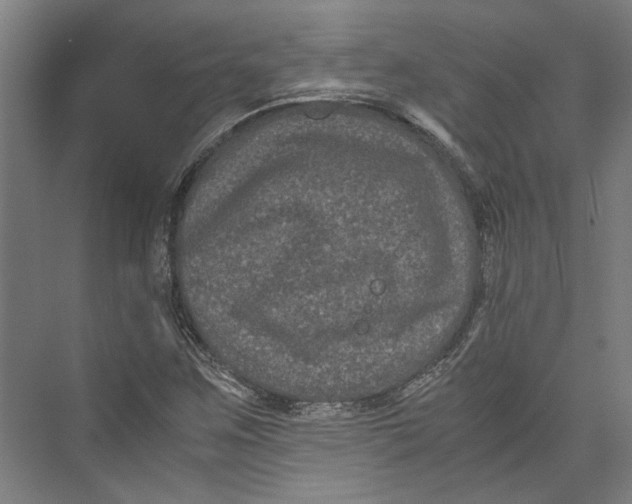 X0000071901259200608041334