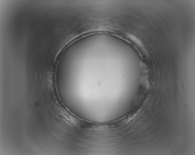 X0000071901260200608041334