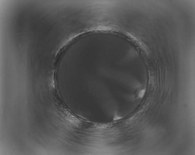 X0000071901262200608041334