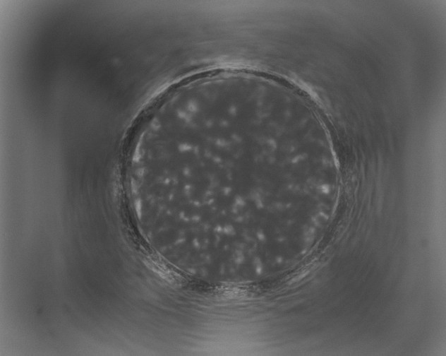 X0000071901263200608041333