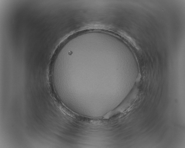 X0000071901264200608041333