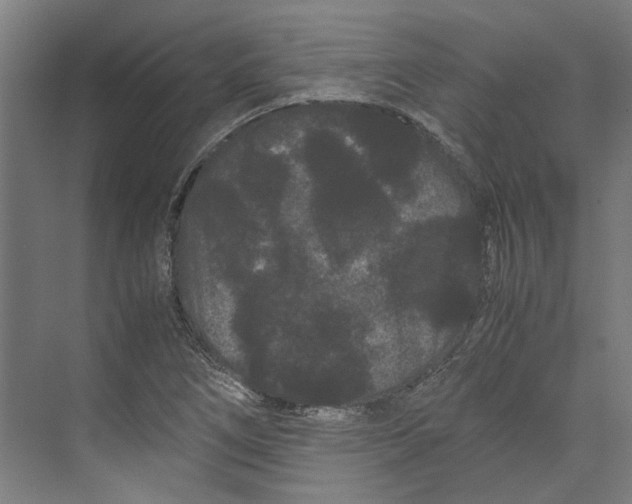 X0000071901266200608041333