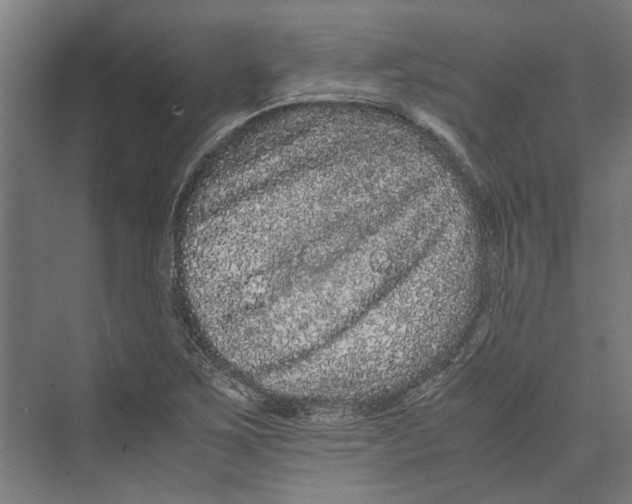 X0000071901267200608041333