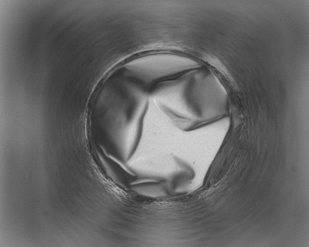 X0000071901268200608041333