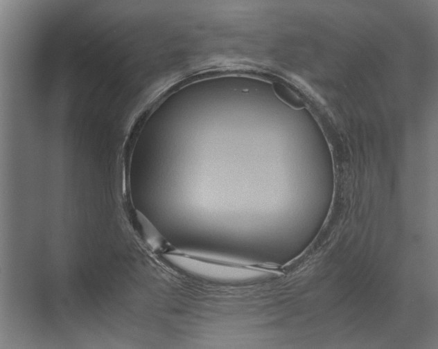 X0000071901269200608041333