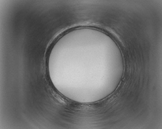 X0000071901270200608041333