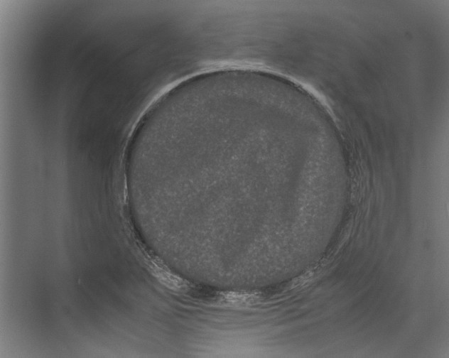 X0000071901271200608041333