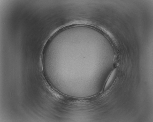 X0000071901272200608041333