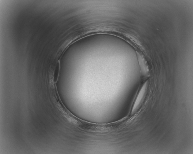 X0000071901273200608041333