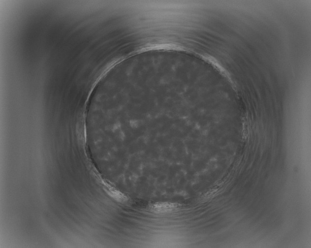 X0000071901274200608041333