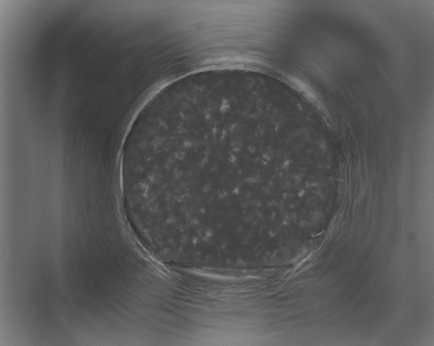 X0000071901275200608041333