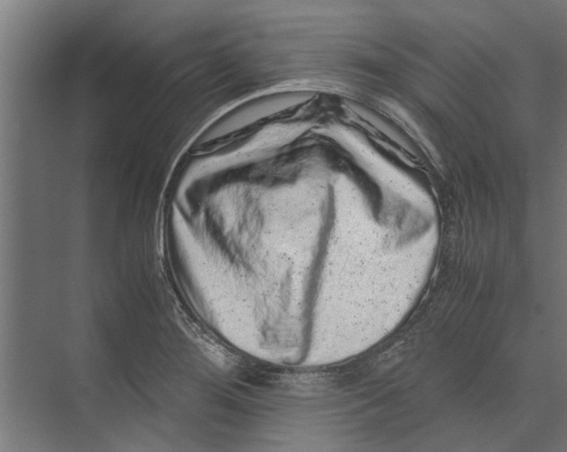 X0000071901276200608041333