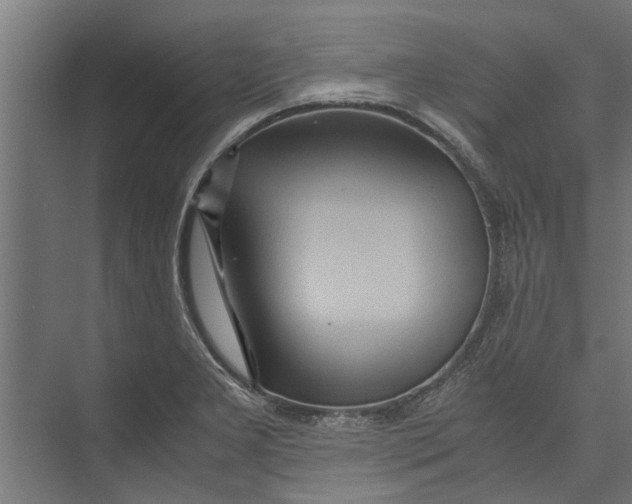 X0000071901277200608041333