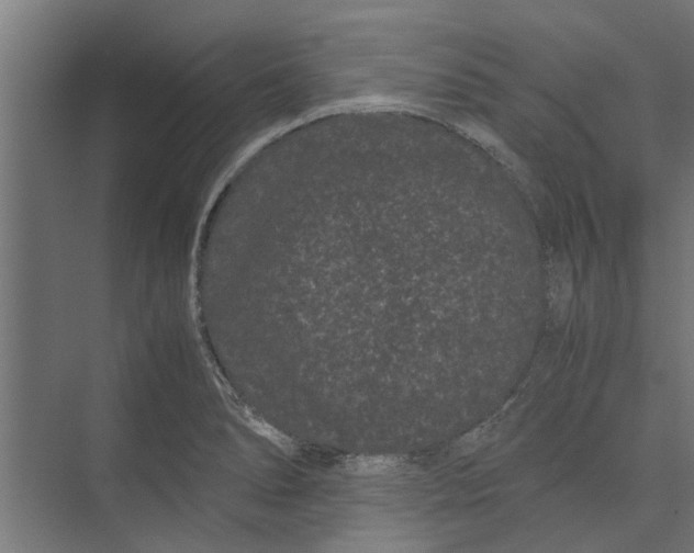 X0000071901278200608041333