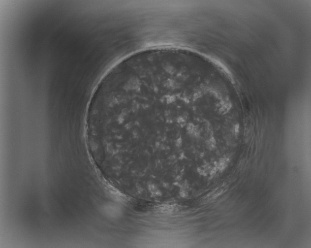 X0000071901279200608041333