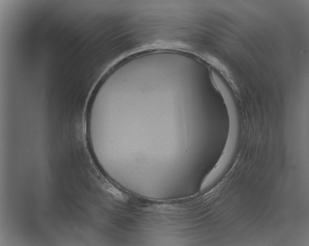 X0000071901280200608041333