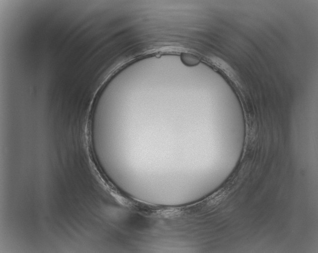 X0000071901282200608041333