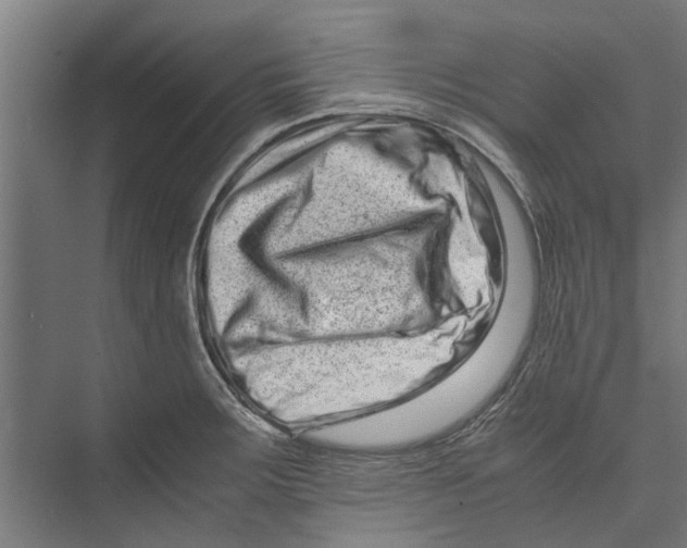 X0000071901283200608041333