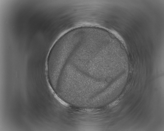 X0000071901287200608041333