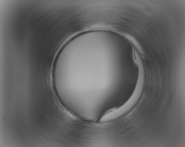 X0000071901288200608041333