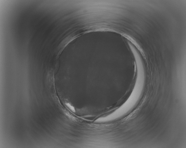 X0000071901289200608041333