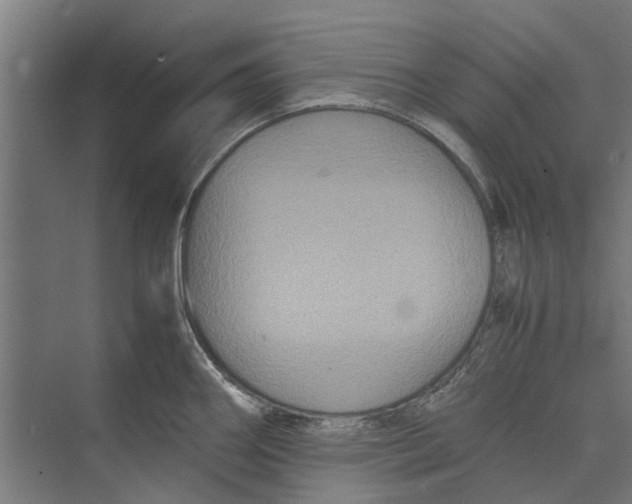 X0000071901290200608041333