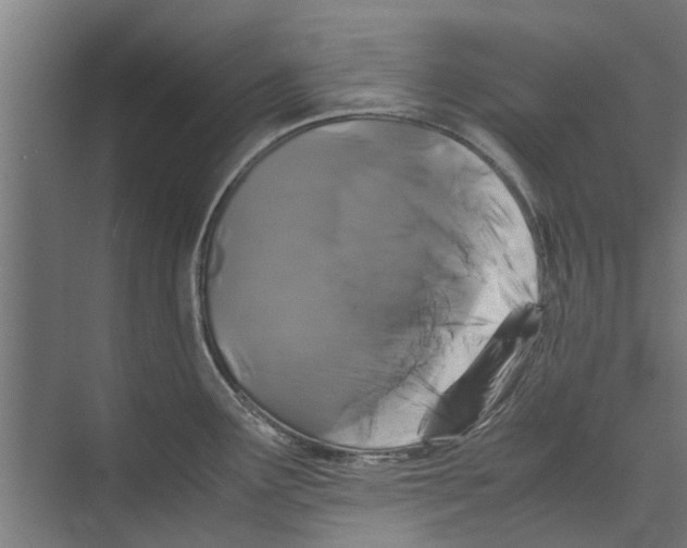 X0000071901291200608041333